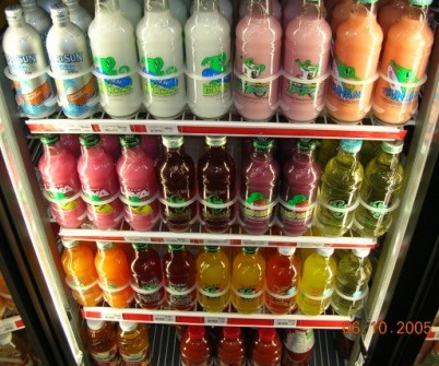 SoBe (lizard beverages)