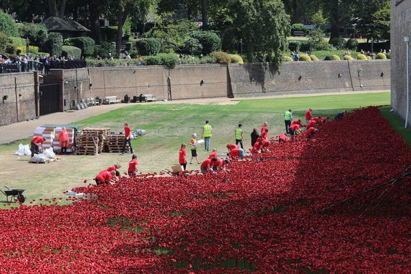 Ceramic poppies fill the Tower of London moat