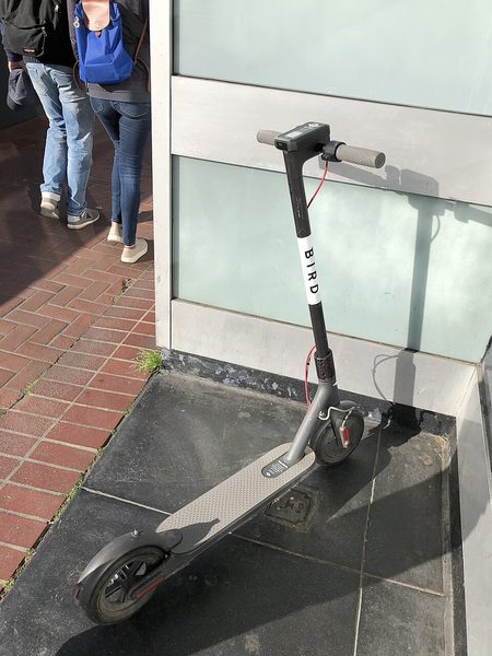 Bird electric scooters