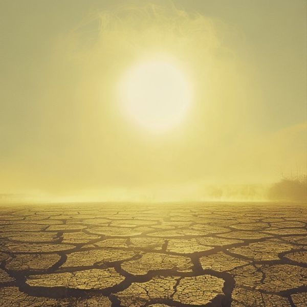 The August heatwave sends temperatures above 38C for the first time