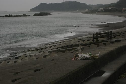 Japan hit by earthquake, tsunami and Fukushima disaster