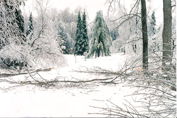 A catastrophic ice storm coats Eastern Ontario, Quebec, and the Maritimes, leaving millions without power for weeks (January 1998)