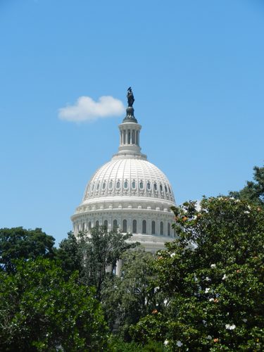 Democrats win control of US Congress in midterms