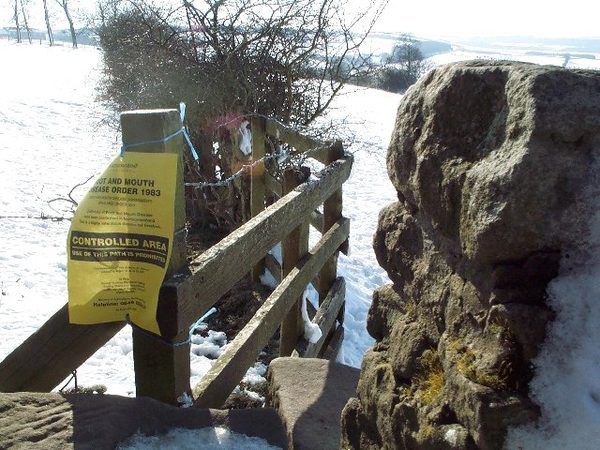 Foot-and-mouth disease closes the British countryside