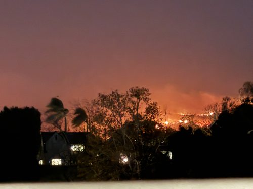 Los Angeles wildfires devastate Pacific Palisades and Altadena
