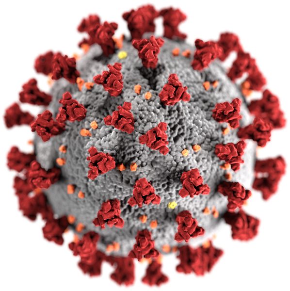 The World Health Organization declares COVID-19 a pandemic; Canada shuts schools and borders, March 2020.