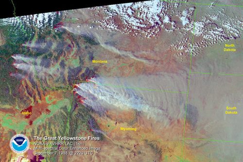 Yellowstone National Park ravaged by massive wildfires