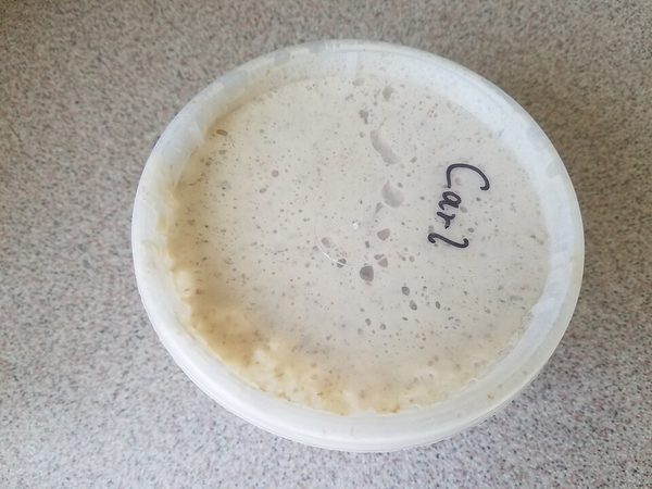 Sourdough starters