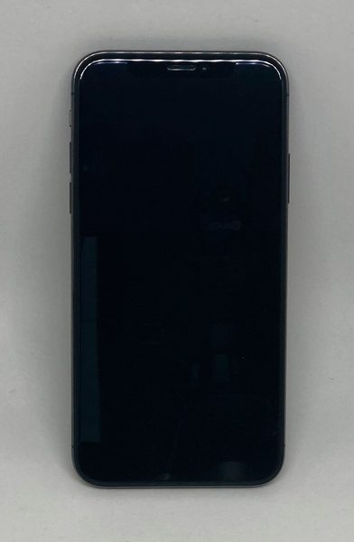 The iPhone X