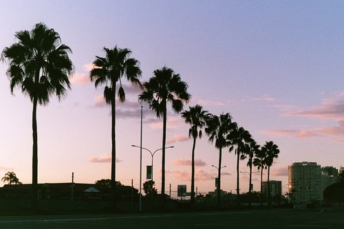GTA: Vice City