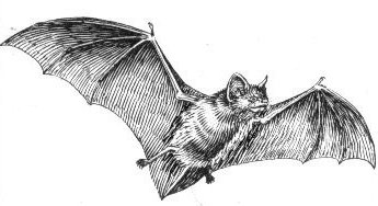 Batman (1989 film)
