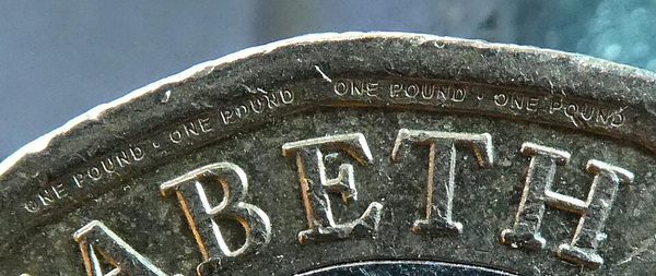 The £1 coin (new 12-sided design)